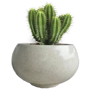 Pot Mangkuk